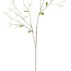 Neptune Gypsophila Twig Clearance