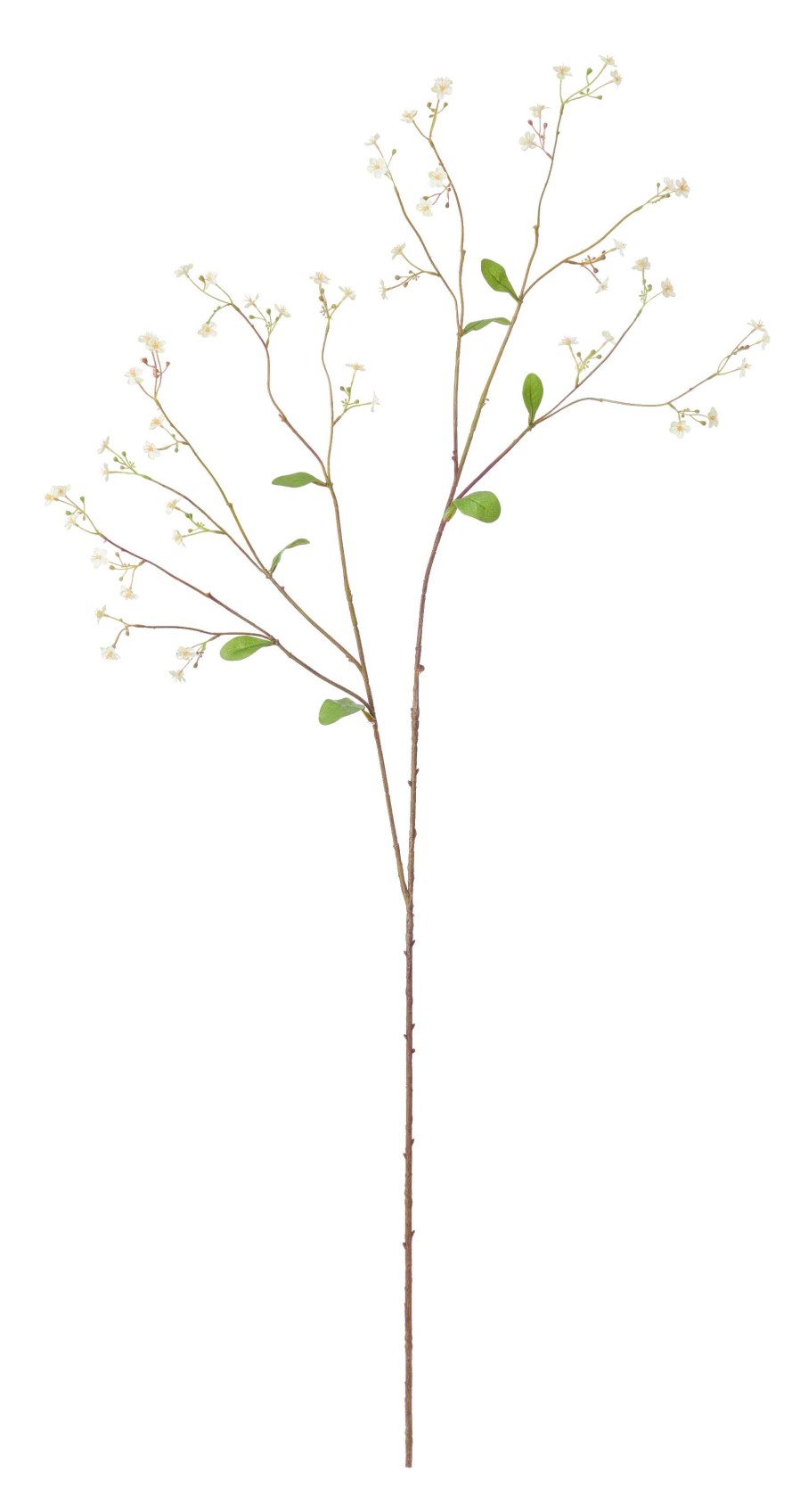 Neptune Gypsophila Twig Clearance