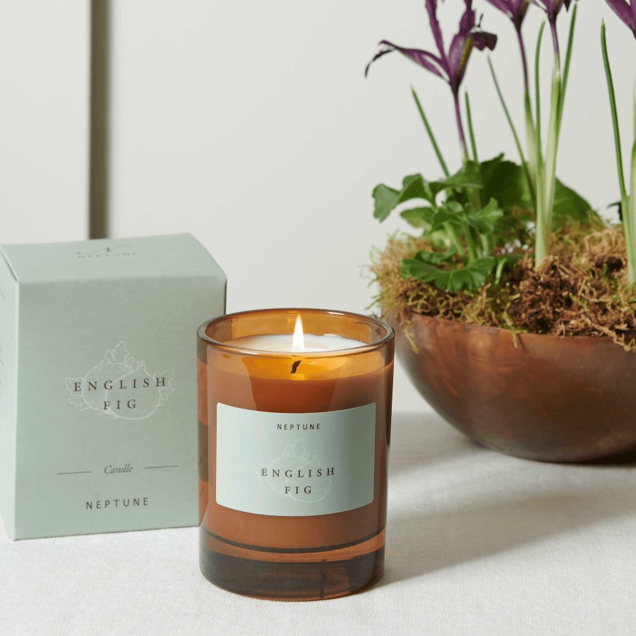 Neptune English Fig Candle Hot