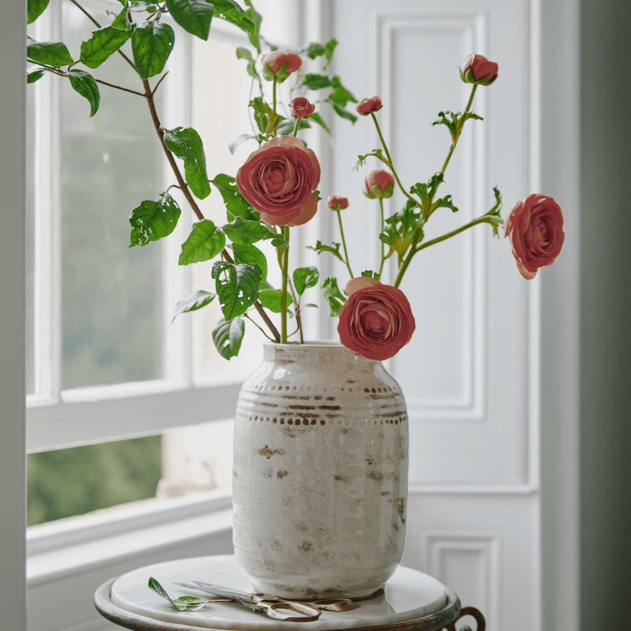 Neptune Ranunculus Flower Hot